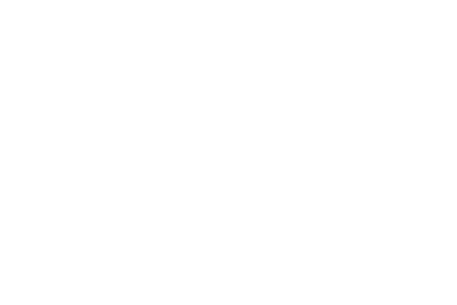 Larson AP Calculus